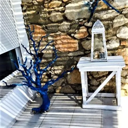 Villa villas